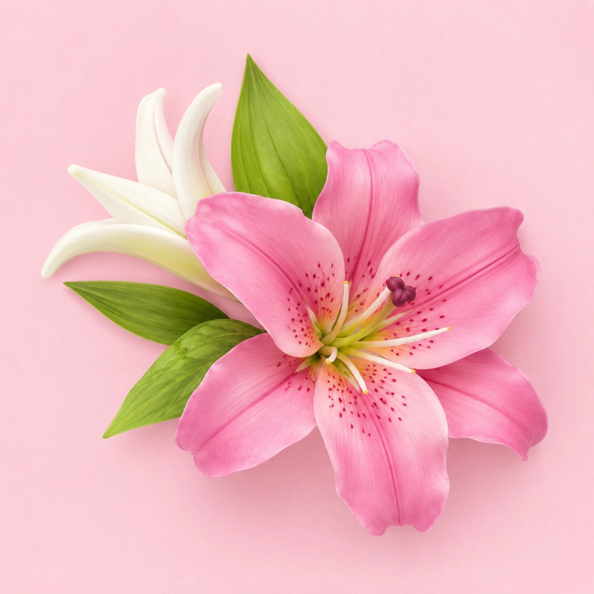 Large Lily Leaf Veined Plunger Cutter Set - T Quality Tools