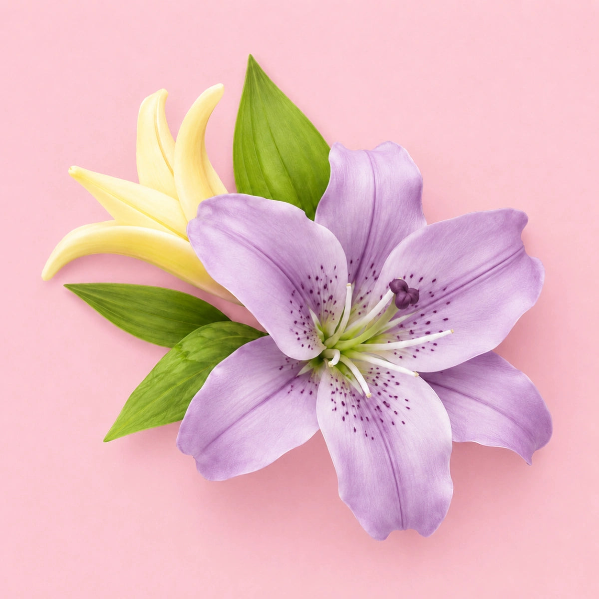 Medium Lily Leaf Veined Plunger Cutter Set - T Quality Tools