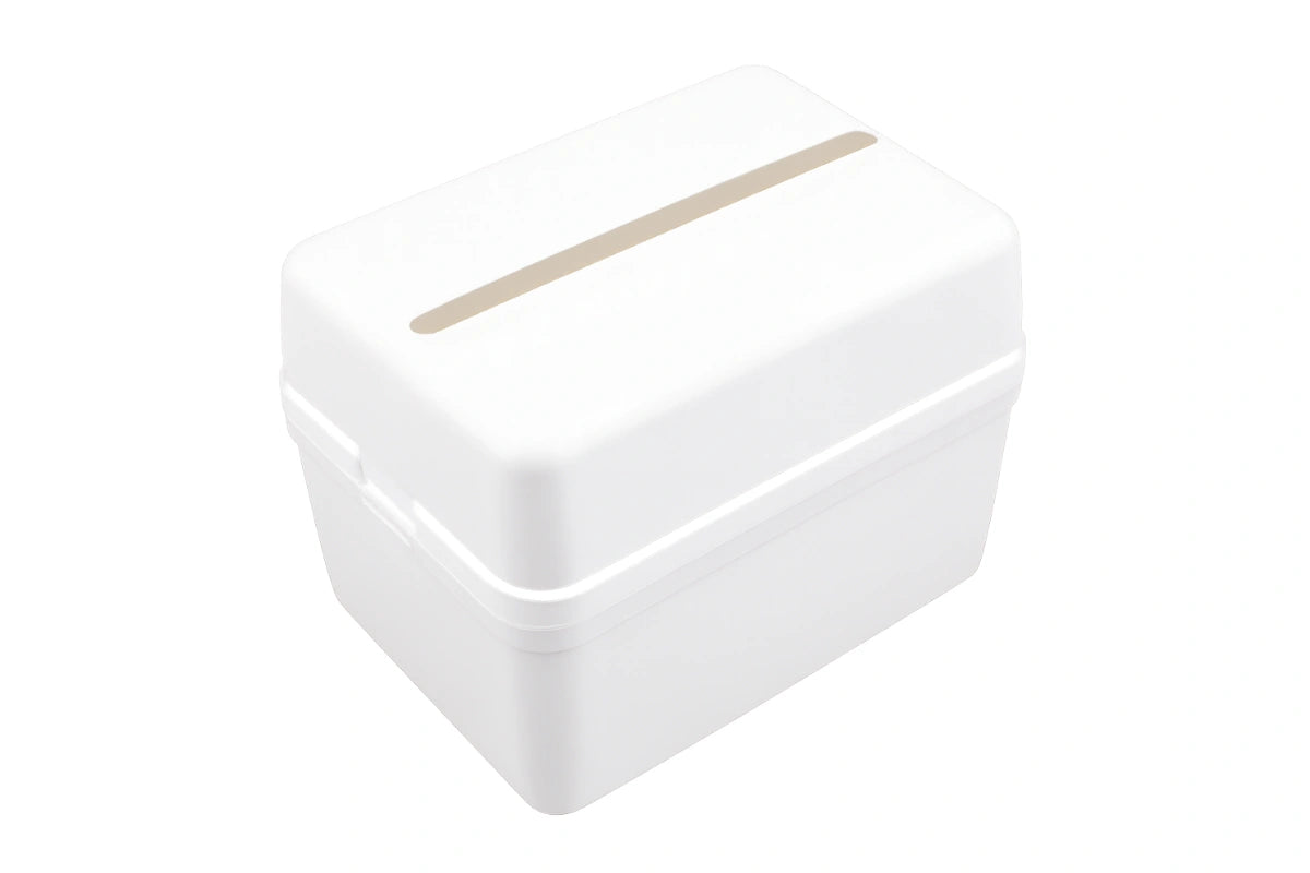 White Cake Money Box - Iconic Cake Art