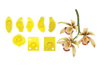 Small Cymbidium Orchid Set of 8,103FF038