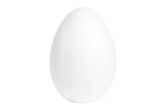 170mm Foam egg- single - Flower Making Tools,EGPFD-170