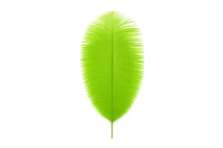 LIME GREEN COLOUR - OSTRICH FEATHER TOPPER - CAKE DECORATION - 1PIECE,OFTHR-LG