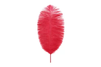 RED COLOUR - FEATHER TOPPER - CAKE DECORATION - 1PIEC,OFTHR-RD