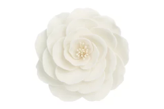 Single large briar rose white SWEET SUGAR FLOWERS,SFBRI1WH