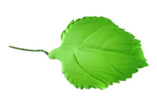 Single small green rose leaf with wire,SFDM2GR