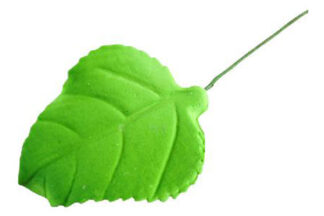Single large green rose leaf with wire,SFDMGR