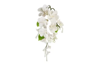 Large frangipani spray white SWEET SUGAR FLO,SFKM1WH