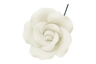 Single sugar curled rose small in White SWEET SUGAR FLOWERS,SFROSECSWH