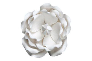 Single large full bloom rose white,SFRRWH