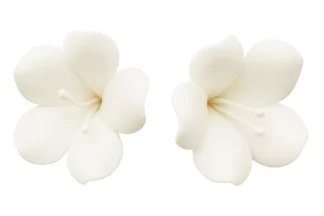 Single bell flower white SWEET SUGAR FLOWERS,SFSSPWH