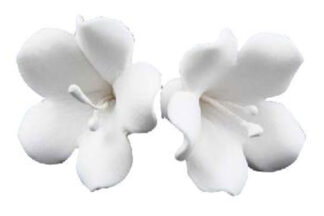 Single bell flower white,SFSSPWH