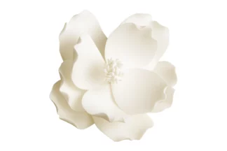 Medium sugar flower Magnolia SWEET SUGAR FLOWERS,SFZMAGM
