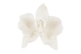 Phalaenopsis Orchid large White SWEET SUGAR FLOWERS,SFZPLPBLGWH