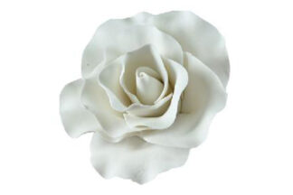 Large Single 8 cm Rose White,SFZRA5SLWH
