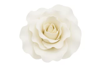 12cm Extra large White Rose flower SWEET SUGAR FLOWERS,SFZRA5SXLWH