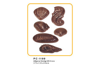 Assorted Seashells Polycarbonate Mold,PC-1199