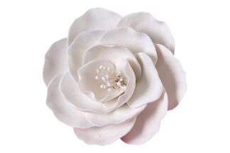 Single medium briar rose white,SFBRI2WH