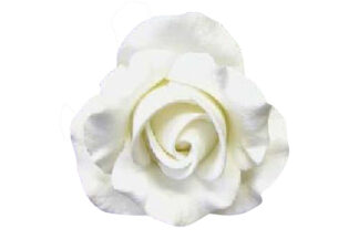 Medium Single Rose White,SFLCMED12