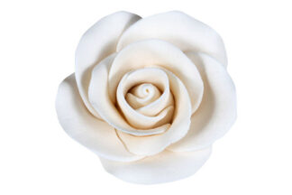 Single 3cm tea rose ivory,SFMKTIV
