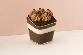 10pc 70ml Square Slanted Plastic Dessert Cup,CH-82