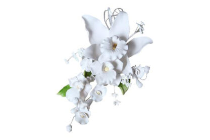 cymbidium orchid spray large white,sfar1wh