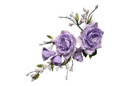amber rose spray lavender,sfbum4lv