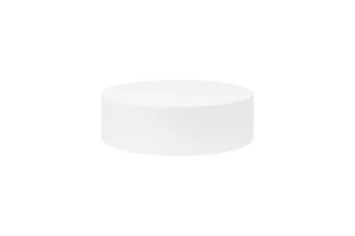 ROUND FOAM 7 x 2 High Styrofoam Polystyrene Cake Dummy,RDPFD-207