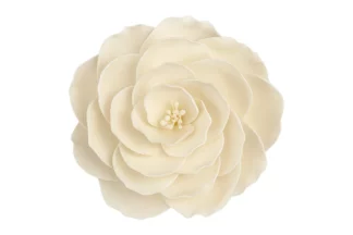Single large briar rose ivory SWEET SUGAR FLOWERS,SFBRI1IV
