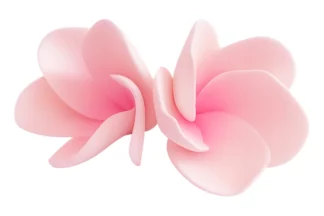 4cm Single medium pink frangipani SWEET SUGAR FLOWERS,SFKM1MPK