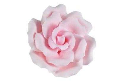 single sugar curled rose large pink,sfroseclpk