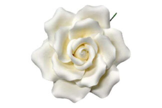 Single curled rose large White,SFROSECLWH