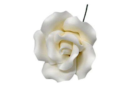 single sugar curled rose small in white,sfrosecswh