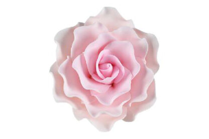 single sugar damask rose large pink,sfrosedlpk