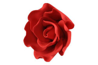 Single sugar damask rose small red,SFROSEDSRD
