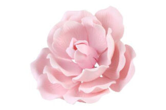 Single large full bloom rose pink,SFRRPK