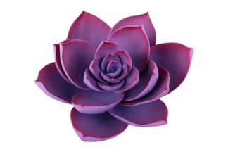 Medium Succulent - Violet SWEET SUGAR FLOWERS,SFSUCVMVIO