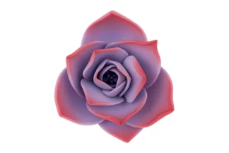 Extra Small Succulent - Violet SWEET SUGAR FLOWERS,SFSUCVXSVIO