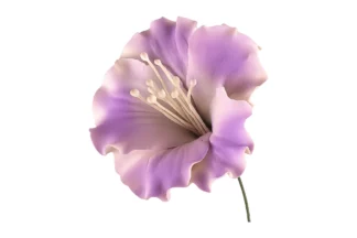 Single azalea lavender SWEET SUGAR FLOWERS,SFTKDLV