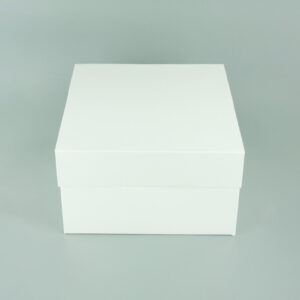 CAKE BOXES WHITE LID