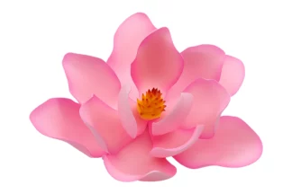 15cm Pink Large Magnolia Sugar flower wedding birthday cake decoration topper SWEET SUGAR FLOWERS,MAGLPK