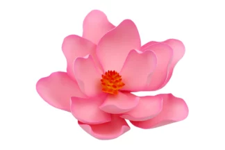 13cm Pink Medium Magnolia Sugar flower wedding birthday cake decoration topper SWEET SUGAR FLOWERS,MAGMPK