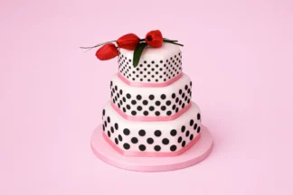 Press Ice Polka - FMM