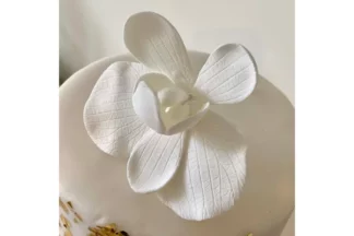 11cm Large Moth Phalaepnosis Orchid,CSPHALORCWH