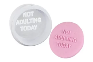 NOT ADULTING TODAY MINI MESSAGE,ST724376652822