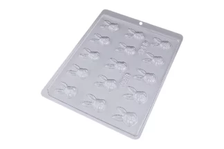 BWB CAROCOELHO MOULD,BWB206